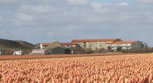 Strandslag an Blumenfeldern gelegen