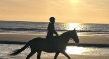 Julianadorp am Strand