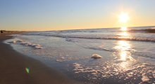 Julianadorp Strand